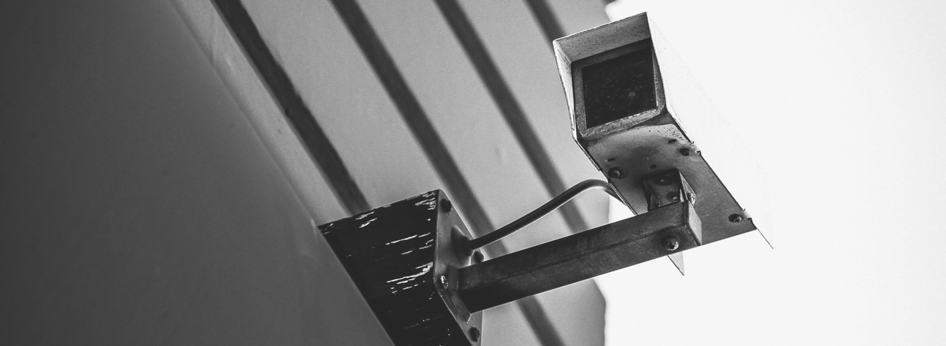 What We Can Do For You?